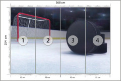 Högkvalitativ Kraftig Slät Vinyl Fototapet Hockeypuckar