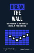 Break the Wall