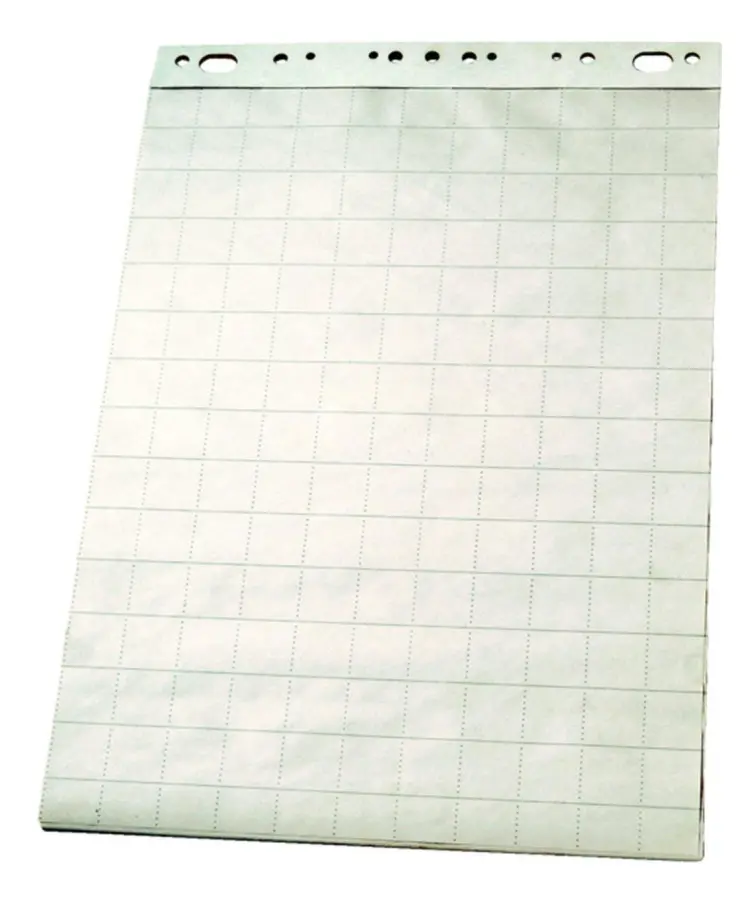 ESSELTE konferensanteckningsbok, 590 x 830 mm, med celler, 50 ark