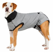 Skyddande body hund