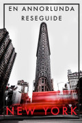 NEW YORK EN ANNORLUNDA RESEGUIDE (PDF) – E-bok