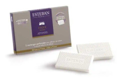 Doftande påfyllning - Esteban - Svart fikon - Bil - Justerbar intensitet - 2 keramiska påfyllningar