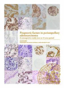 Prognostic factors in periampullary adenocarcinoma