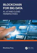 Blockchain for Big Data