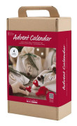 DIY Kit - Advent Calender - Felting (977600)