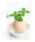 INN® Planteringssats för ägg att plantera Miniatyrträdgård inomhus utomhusdekoration Miljövänlig trädgårdsarbete DIY Redo att plantera