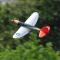 RC Flygplan 402mm Wingspan P47 2.4G 4 Channel Performance Remote Control Airplane, top104B02 Röd