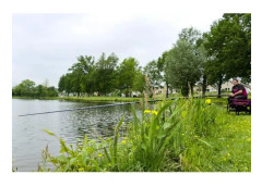 Elastiskt slag Browning Black Magic® Gold Power - lila - 2,20 mm