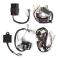 SALALIS ledningsnät Cdi Switch Bromsspaksspolsats Passar för Yamaha Pw50 Dirt