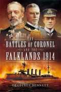 The Battles of Coronel and the Falklands, 1914 – E-bok
