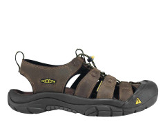Keen Men Newport bison
