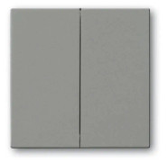 Busch-Jaeger 1751-0-3018, knappar, Grå, Plast, 63 mm, 63 mm, 1 st.