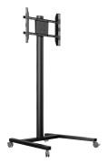 M Display Stand 180 Single