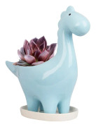 Dinosaurie Suckulent Pot