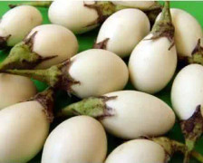 60 vita ägg auberginefrön - grönsakssådd grönsaksträdgård - EKOLOGISK metod