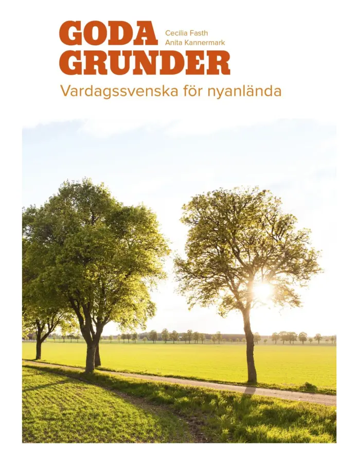 Goda grunder : vardagssvenska för nyanlända – E-bok