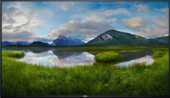 Dell P5524Q - 55" Diagonal klass (54.6" visbar) LED-bakgrundsbelyst LCD-skärm - konferens - 4K UHD (2160p) 3840 x 2160