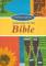 Invitation To Bible
