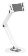 Deltaco Office Universal Tablet Tabletop Stand 4,7" - 13"