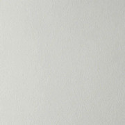 2 rullar 50m² non-woven glasfiber 100g att måla med specialbindemedel