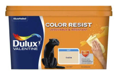 Color Resist Wall & Woodwork Paint Ivory 2,5 L