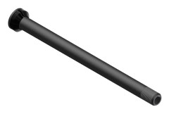 Dt Swiss Bak Plug In Rws Svart 12 x 142 mm