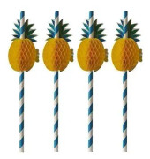 Papperssugrör Ananas