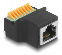 Delock - Nätverkskort - RJ-45 (hona) till terminalblock - svart, grön