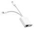NK-1035 Pro 2 in 1 USB-C / Type-C + 8 Pin Male to RJ45 + 8 Pin Charging Female Interface Adapter