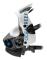 Ocean Reef Ansiktsmask Neptune Iii Vit S-M