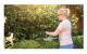 Bosch Home and Garden EASYHEDGECUT 18-45 Häcksax inkl. batteri, inklusive laddningsstation 18 V Li-Ion