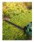 Bosch Home and Garden EasyHedgeCut 18-45 BT Batteri Häcksax exkl. batteri 18 V