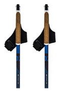Swix Dynamic D2 Stavar Guld 165 cm
