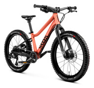 Woom Mtb-cykel Off 4 20'' Silver Pojke