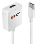 LINDY HDMI till DisplayPort 4K-omvandlare