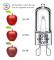 G9 halogenlampor 28W,230V,10 Pack