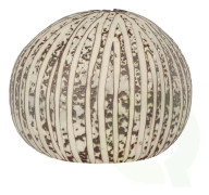 diffusor We Love The Planet 12 cm keramik