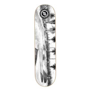 Hydroponic Skateboarddäck Spot Series 8.5´´ Silver