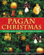 Pagan Christmas 9781594770920