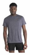 Icebreaker Merino 125 Cool-lite Sphere Iii T-shirt Med Korta ärmar Grå S Man