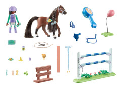 Playmobil 71355, bondgård, 5 år, Flerfarvet