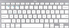 Trust - Tangentbord - trådlös - Bluetooth 4.0 - QWERTY - amerikansk - silver