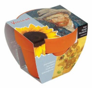 Van Gogh solrosplantakruka - Set om 2 - Astuceo 5 cm Brun
