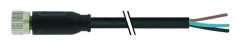 Murrelektronik 7000-08041-6300500 Sensor/ställdon-kontakt, okonfektionerad M8 x 1 Hona rak 5.00 m Antal poler (RJ): 3 1