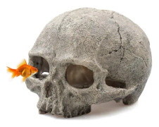 Human Skull Reptil Hide, White Reptile Hides och Caves för