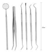 SALALIS Tandläkare Tand Tool 6st/set Professionellt handtag i rostfritt stål Tandläkare Tandhygienrengöring