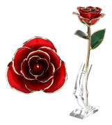 SALUTUYA 24K Rose Gold Rose 24K Gold Doppad Present Bröllopsinredning för flickvän Hustru Alla hjärtans dag Fritidsbox