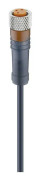 Lumberg Automation 17852-1 Sensor/ställdon-kontakt, konfektionerad M8 Hona rak 2.00 m Antal poler (RJ): 3 1 st