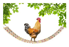 Kycklinghusleksaker Hönshusleksaker Naturlig trävåg Kycklinggunga Abborre för fåglar, fjäderfä, tupp, kycklingar