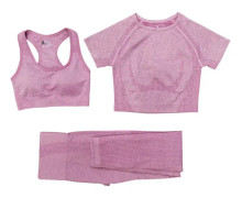 Yoga Set Träningskläder Sportbyxor BH Gym Kläder Shorts För Kvinnor